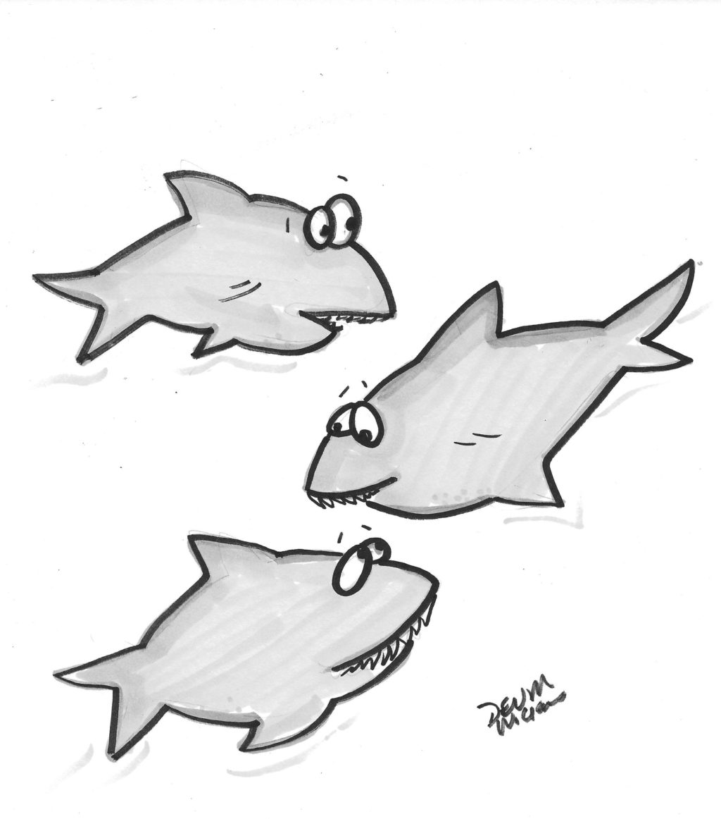 shark-bites-broadzview